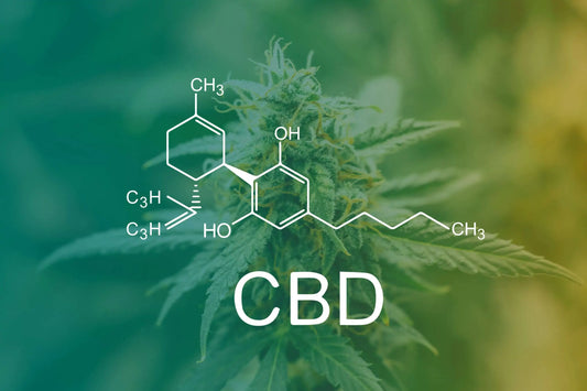START HERE: CBD…Everything you need to know